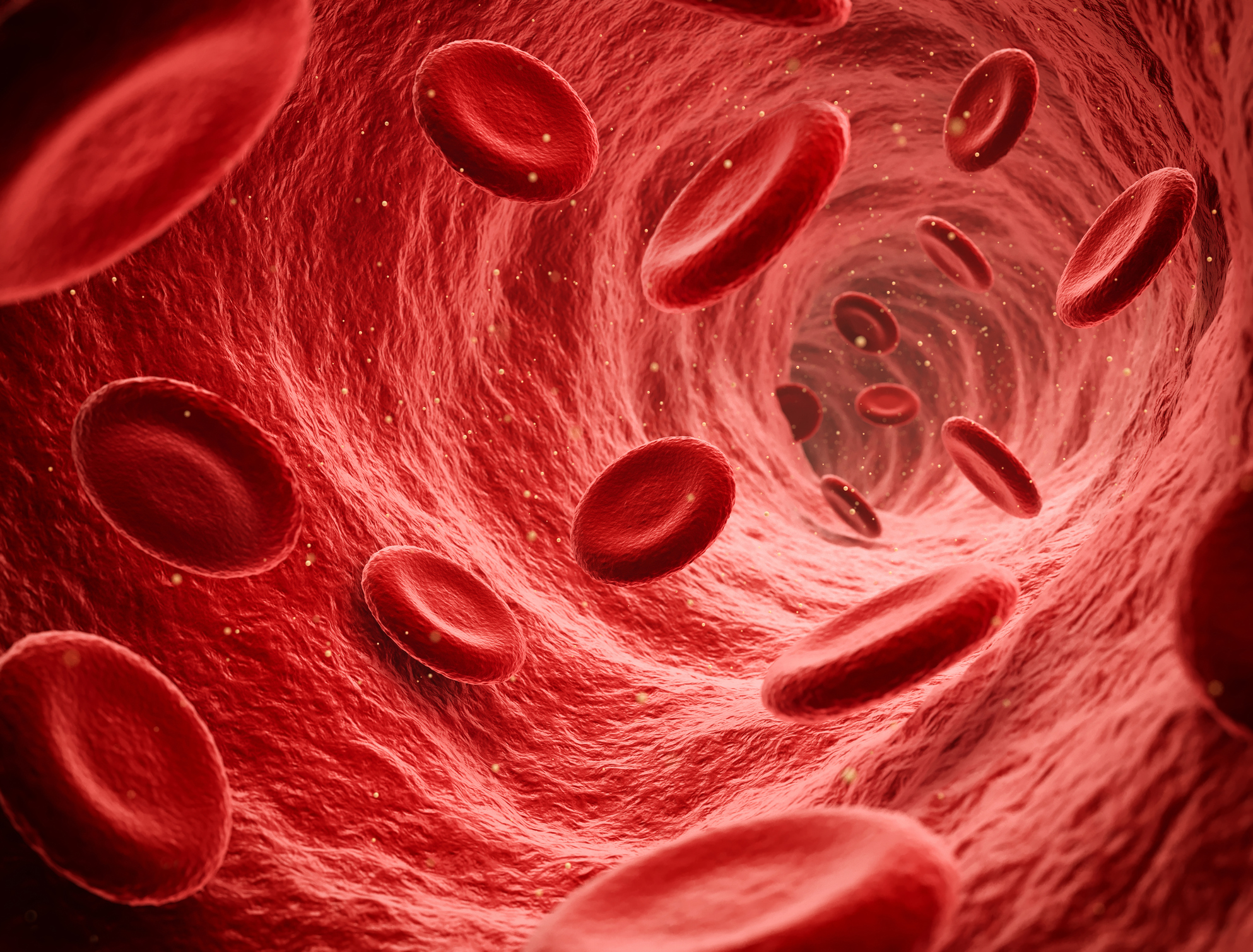 illustration of red blood cells